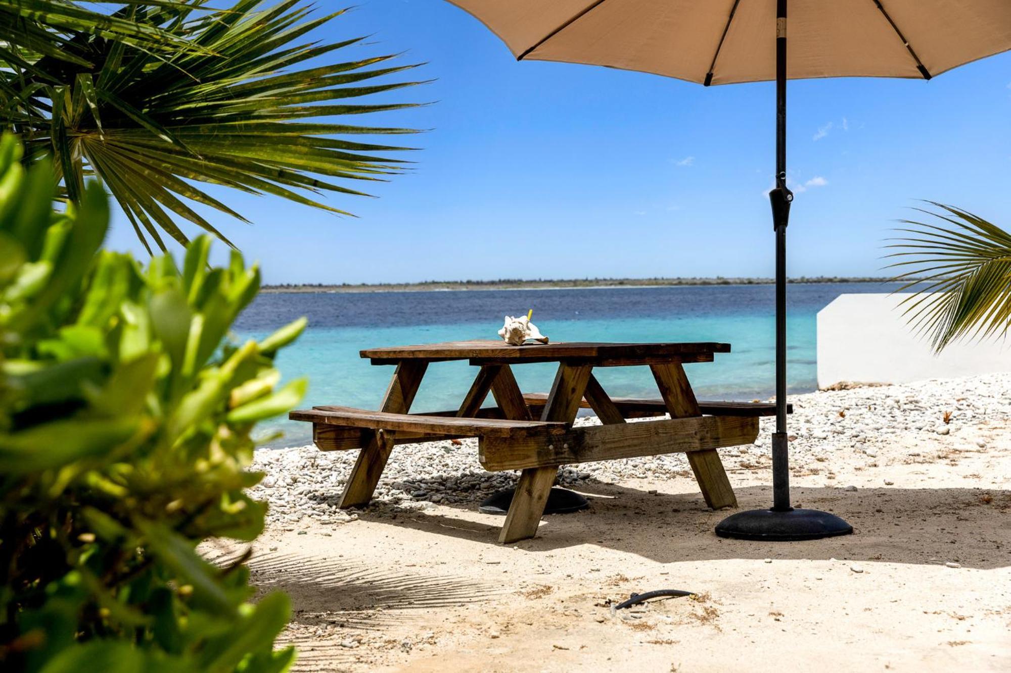 Oceanfront - Villa Port Of Call - Playa Esterno foto
